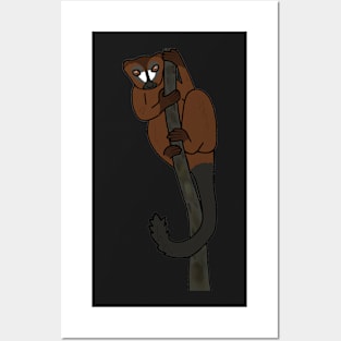 Red-Bellied Lemur - Eulemur rubriventer male Posters and Art